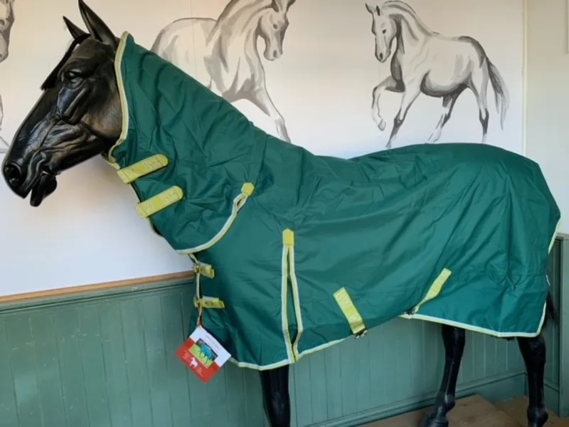 Bridleways Ontario Turnout Rug 100g Combo Green-1